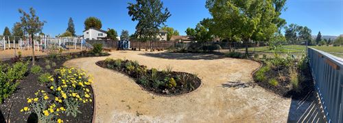 Panoramic view of outdoor garden